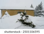 snow drift covering part of shed during historic snowstorm Cheyenne Wyoming