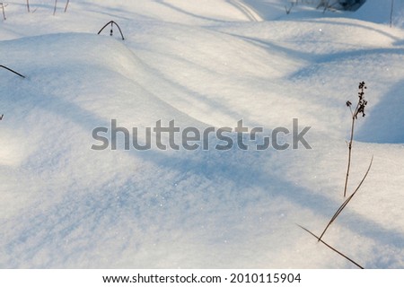 snow drifts in the winterseason, pieces of grass and tree branches sticking out through the snow, natural phenomena associated with the winter season, frosty post-snow weather