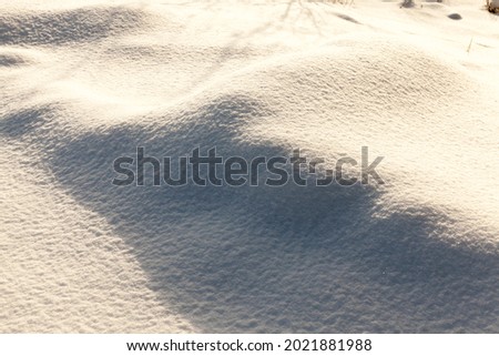 snow drifts in the winterseason, pieces of grass and tree branches sticking out through the snow, natural phenomena associated with the winter season, frosty post-snow weather