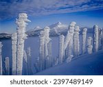Snow encrusted trees on top of Hoodoo Butte in Central Oregon.  Three-Fingered Jack and Mt Jefferson in background.  Photo taken after a blizzard with strong winds. Not a human made sculpture.