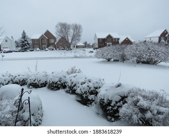           Snow Fall In Buffalo NY                     