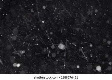 Snow Falling Close Up With Bokeh Isolated