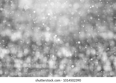 Snow Falling Close Up Winter Saskatchewan Canada