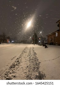 Snow Falling At Night In Front Of A Street Lamp On An Empty Suburban Street On A Random Sunday Evening In The January Winter