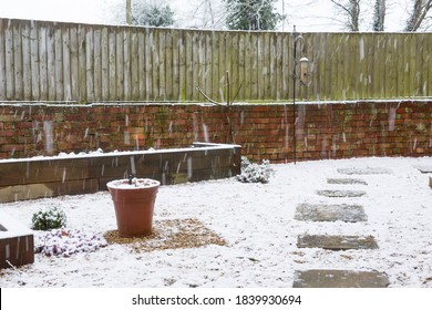 Snow Falling On An English Garden In Winter, UK