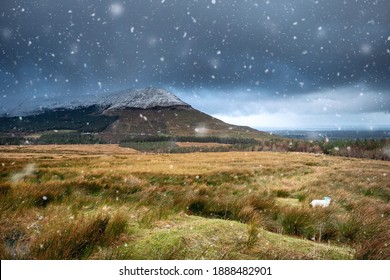 Snow Falling On A Field By Mountains In Gleniff Horseshoe Loop Drive, County Sligo, Ireland. Blue Cloudy Sky, Nature Background. Winter Season