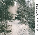 snow falling from trees in winter forest landscape - instant vintage square photo