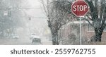 Snow falling in winter on street with stop sign and trees cars driving