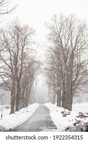 Snow Falls In The Hudson Valley.