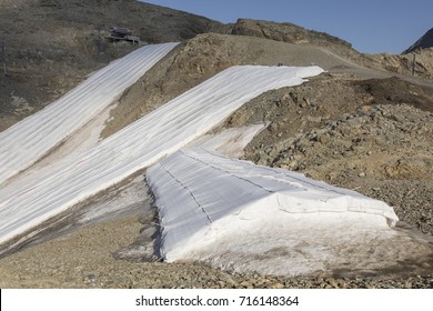 Snow Farming On Diavolezza: Snow Is Covered With A Flies Against The Melting, Switzerland