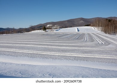 Snow Field Sprinkled With Snow Melting Agent
