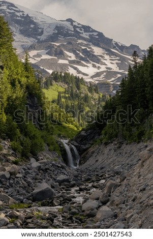 Snow Fields On Mount Rainier Feed Van Trump Creek In Mount Rainier National Park