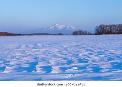 Snow fields with wind-painted patterns and Sharidake