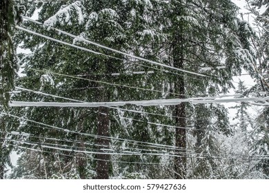 Snow is floating down onto power lines.