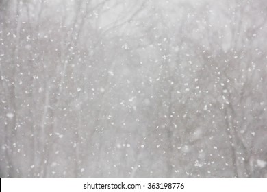 Snow Flurry