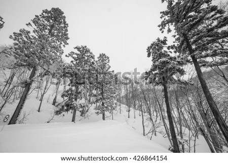 Similar – Image, Stock Photo jaw Environment Nature