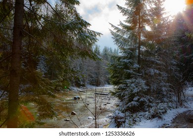snow forest river