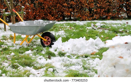 Snow In The Garden