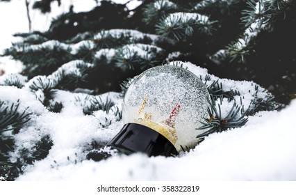 Snow globe in snow