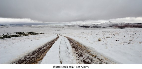 Snow In Golden Gate National Park