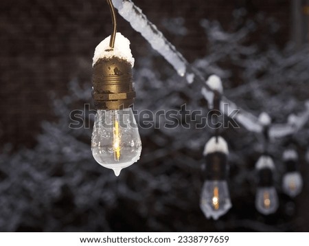 Snow gracing a string of decorative lighting