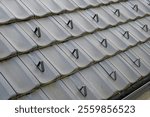 Snow guards, retainers  or snow hooks on the tile roof. Snow guards to keep snow from sliding off the roof too quickly.