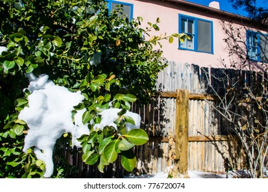 Snow Hangs In The Tree In Taos New Mexico A Winter Get Away Inside A City