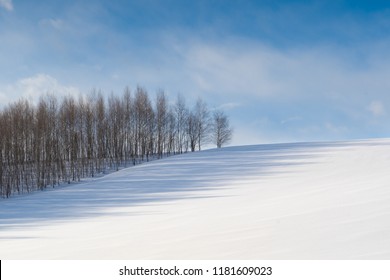 Snow Hill, White Winter In Biei Hokkaido,Japan