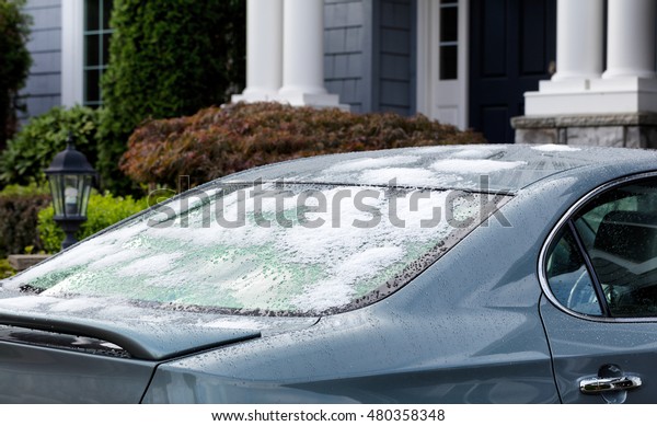 Snow and ice on back of car\
window. Cold weather concept for driving cars during winter.\
Selective focus on rear window of car with partial home in\
background. 