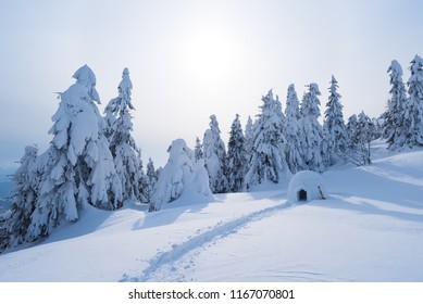 Snow igloo. Winter in the mountains. Landscape with shelter for extreme tourists. Adventure Outdoors - Powered by Shutterstock