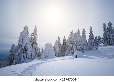 Snow igloo. Winter in the mountains. Landscape with shelter for extreme tourists. Adventure Outdoors - Powered by Shutterstock