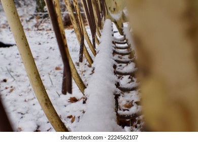 Snow Inside A Yellow Hay Rake 