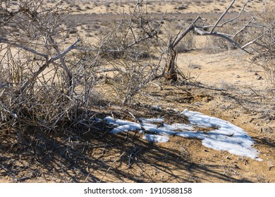 Snow In The Karakum Desert, Turkmenistan.