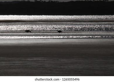 Snow Lake, Marion Lake, York Peninsula