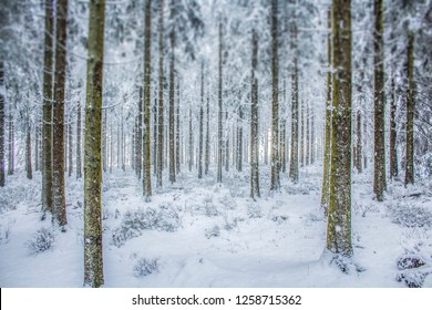 Snow Landscape From Ardennes, Belgium