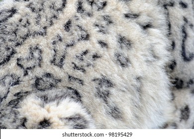 Snow Leopard Close Up Abstract Fur