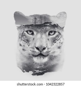 Snow Leopard Irbis Head With Double Exposure Effect