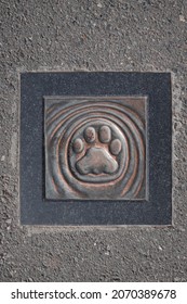 Snow Leopard Paw Print In Metal . Close Up View 