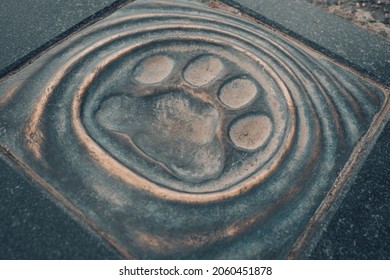 Snow Leopard Paw Print On Metal Surface 