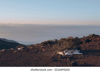 Snow Lying High Above Sea Level