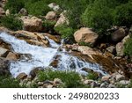 Snow melt in stream over rapids.  Glacier Creek in the Rockies in Colorado.  Green trees, boulders in the stream with whitewater rapids. Boulders, green trees and white water falls in Colorado.