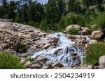 Snow melt in stream over rapids.  Alluvial Fan Falls in the Rockies in Colorado.  Green trees, boulders in the stream with whitewater rapids. Boulders, green trees and white water falls in Colorado.