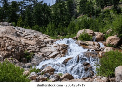 Snow melt in stream over rapids.  Alluvial Fan Falls in the Rockies in Colorado.  Green trees, boulders in the stream with whitewater rapids. Boulders, green trees and white water falls in Colorado. - Powered by Shutterstock