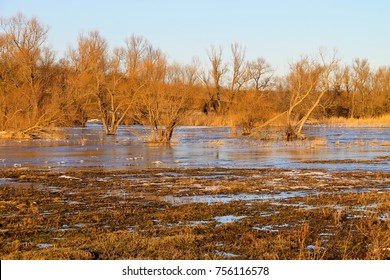 Snow Melting On The Meadow