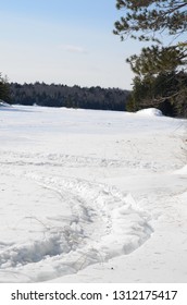 Snow Mobile Tracks In Snow