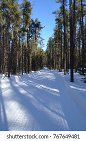 Snow Mobile Trail  Norther Forest.