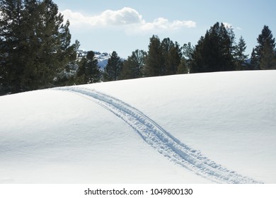 Snow Mobile Trail Over White Snow On Mountains With Green  Pine Trees And Sky Background