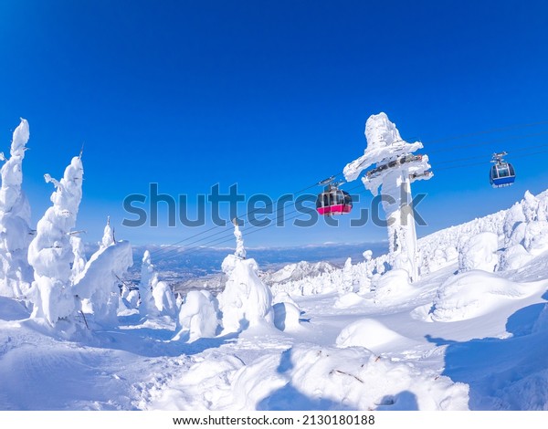 Snow monsters (soft rime) with cable\
cars behind (Zao-onsen ski resort, Yamagata,\
Japan)