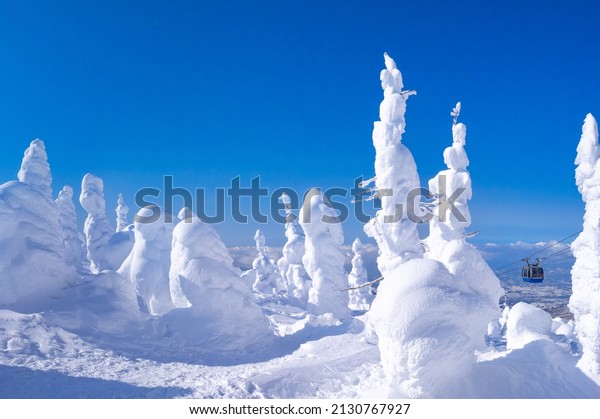 Snow monsters (soft rime) with a cable\
car behind (Zao-onsen ski resort, Yamagata,\
Japan)