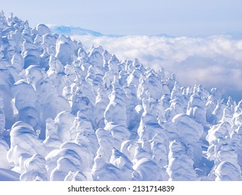 Snow monsters (soft rime) with cloud sea in the background (Zao, Yamagata, Japan)